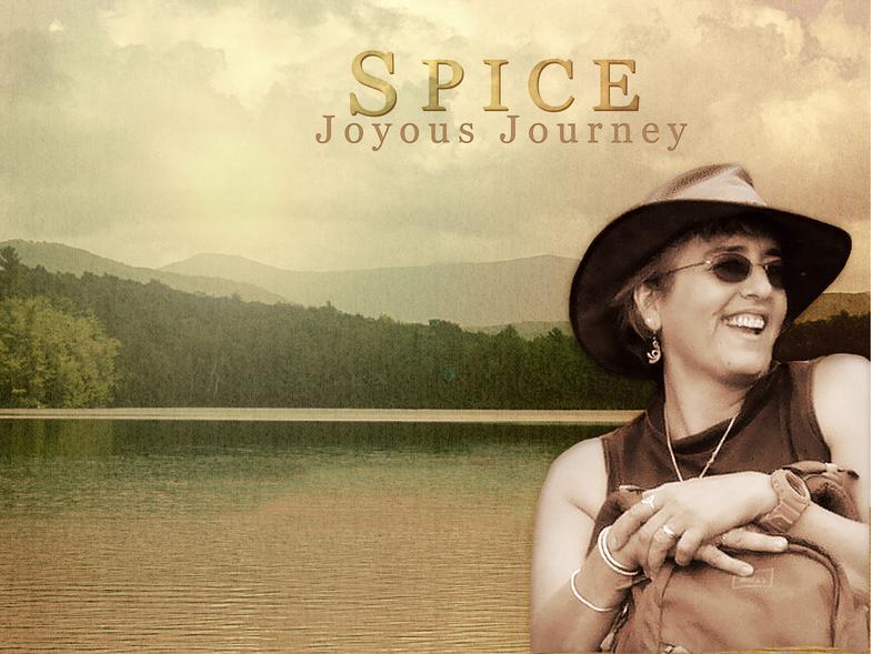 By Deborah "Spice" Kleinmann and Participating Musicians and Vocalists, Joyous Journey: John Seay, Tony Bonta, Chris Kiehne, Seth Kibel, Jaqui Macmillan, Amikaeyla, Brian Rosenthal, Steve Steckler, Joe Gascho, Donna Plamondon, Jane Beatty, Jay Herzog. Mastered by Ty Ford. 